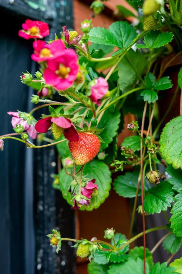 Red Cherry House ワトフォード エクステリア 写真